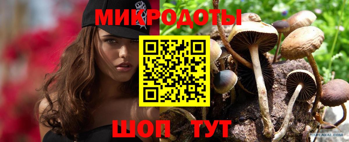 Волжский  Галлюциногенные грибы Magic Shrooms  как найти наркотики  Вход с VPN 